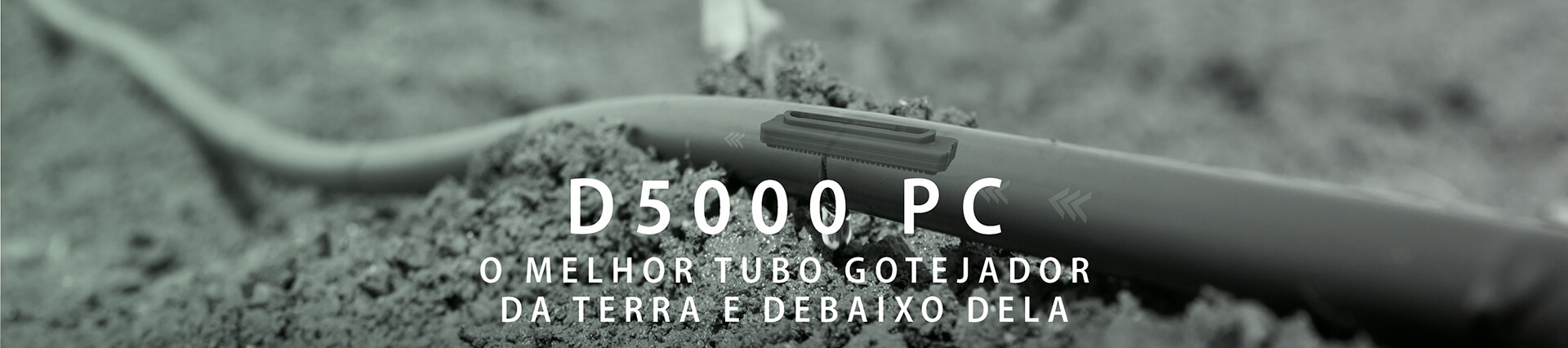 D5000 PC